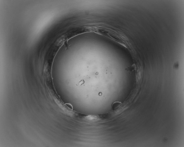 X0000116810477200912181349