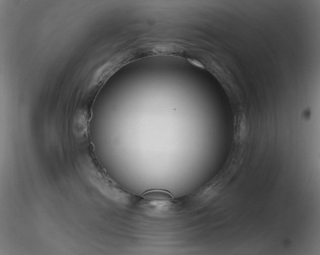 X0000116810478200912181349