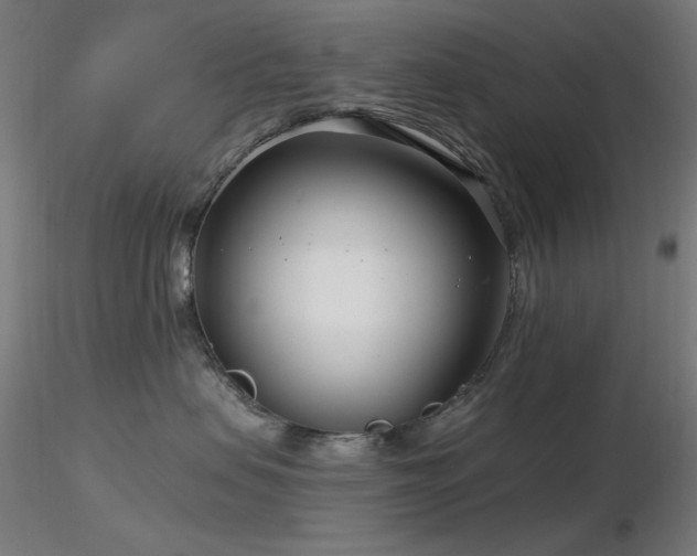 X0000116810479200912181349
