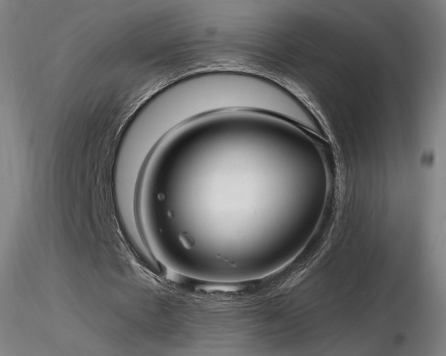 X0000116810481200912181348