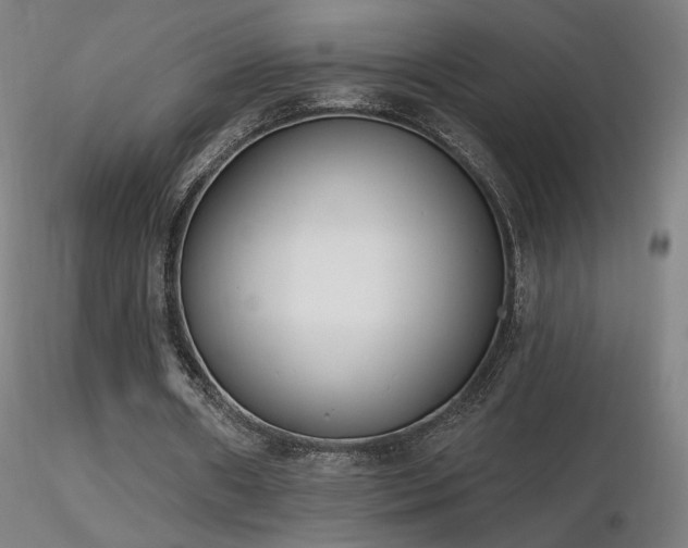 X0000116810482200912181348
