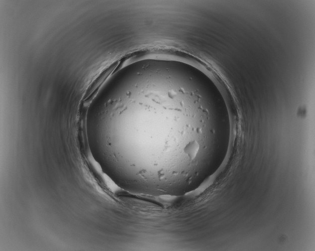 X0000116810485200912181348
