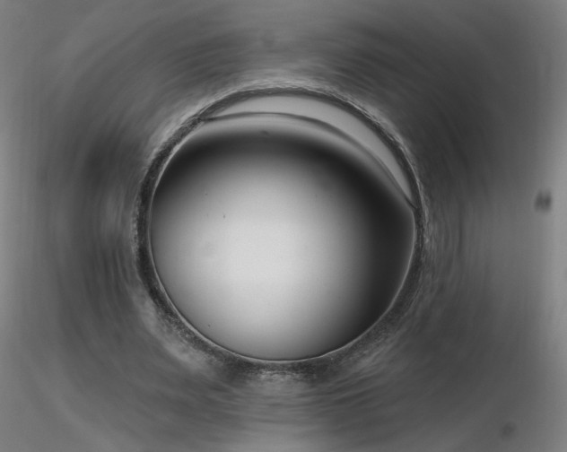X0000116810487200912181348