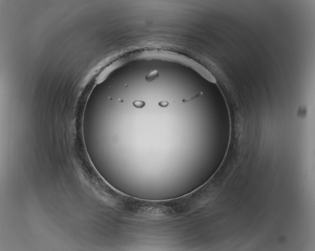 X0000116810488200912181348