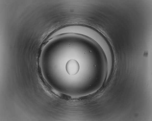 X0000116810489200912181348