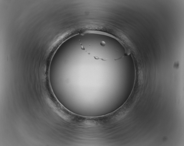 X0000116810490200912181348