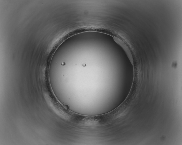 X0000116810491200912181348