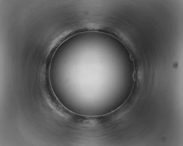 X0000116810492200912181348