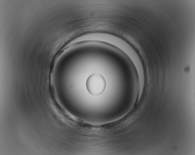 X0000116810493200912181348