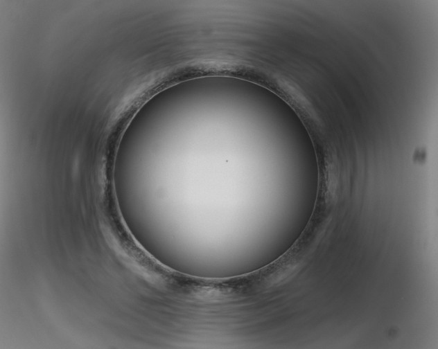 X0000116810494200912181348