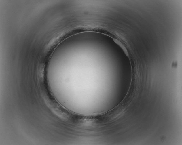 X0000116810495200912181348