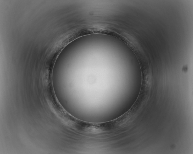 X0000116810498200912181348