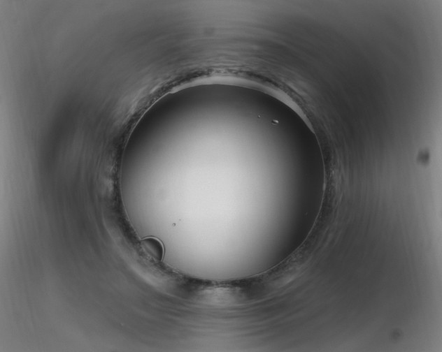 X0000116810499200912181348