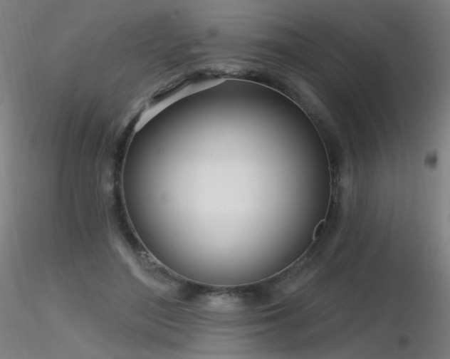 X0000116810500200912181348