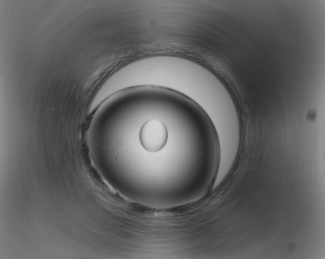 X0000116810501200912181348
