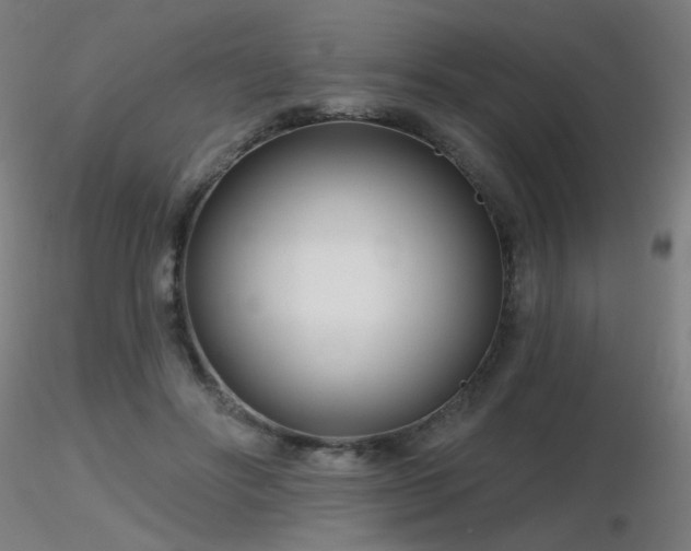 X0000116810502200912181348