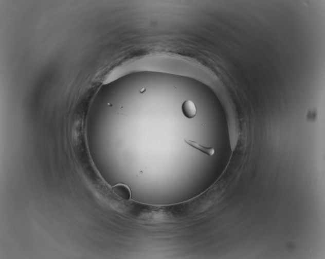 X0000116810503200912181348
