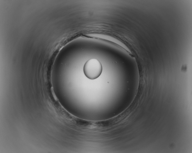 X0000116810504200912181348