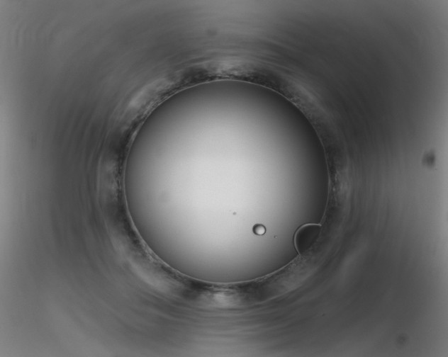 X0000116810506200912181348