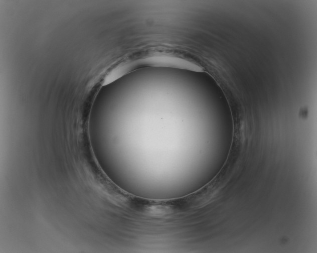 X0000116810508200912181348