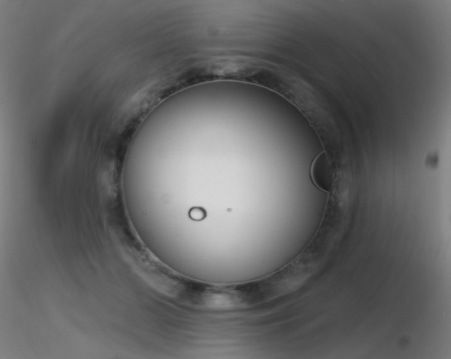 X0000116810510200912181348