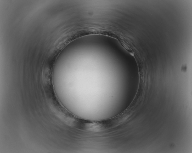 X0000116810511200912181348