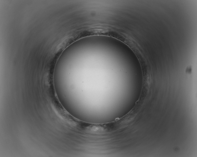 X0000116810512200912181348