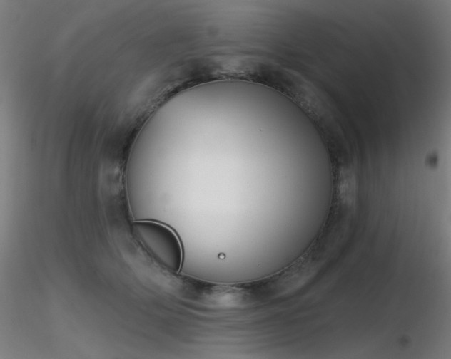 X0000116810514200912181348