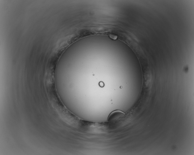 X0000116810515200912181348