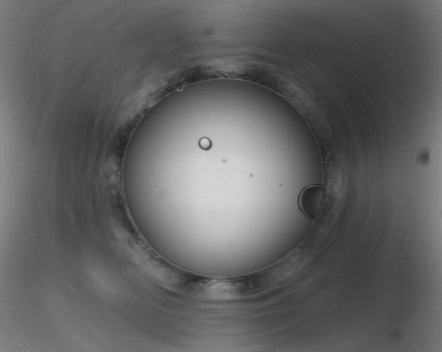 X0000116810518200912181348