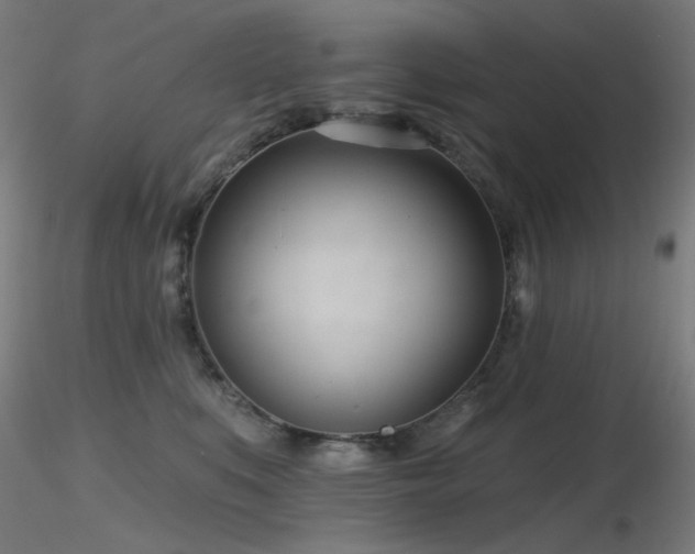 X0000116810519200912181348