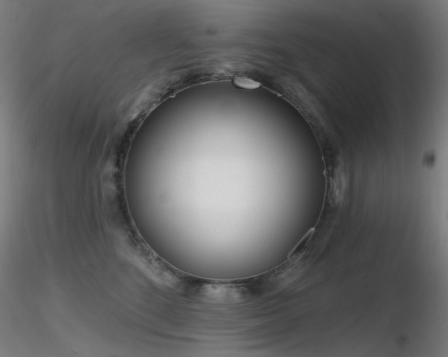 X0000116810520200912181348