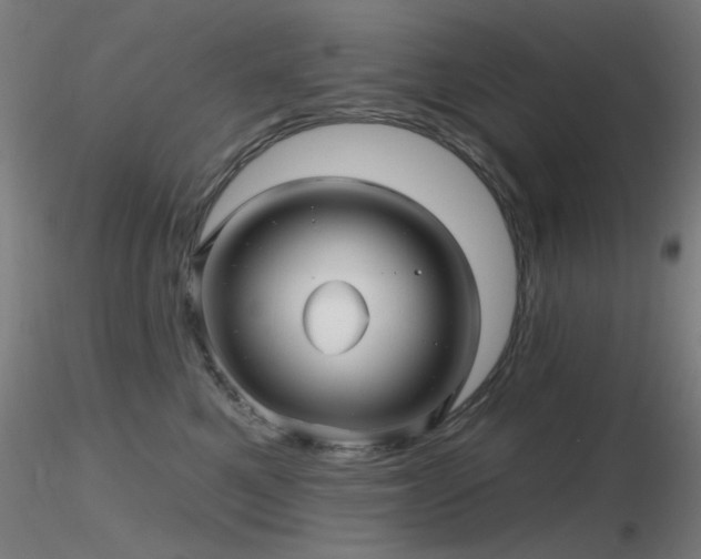 X0000116810521200912181348