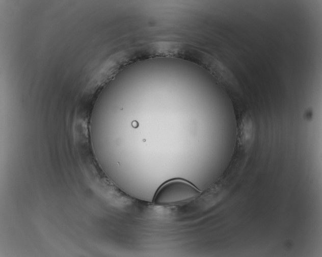 X0000116810522200912181348