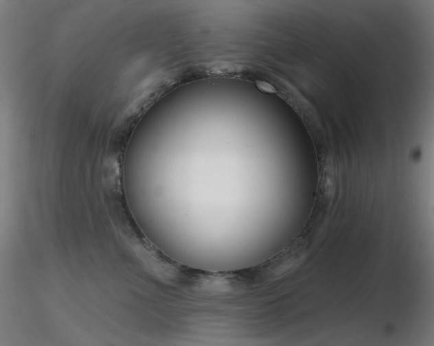 X0000116810523200912181348