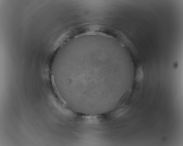X0000116810524200912181348