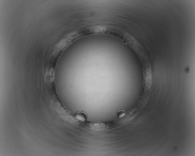 X0000116810525200912181348