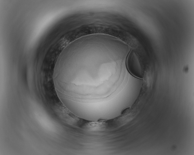 X0000116810526200912181347