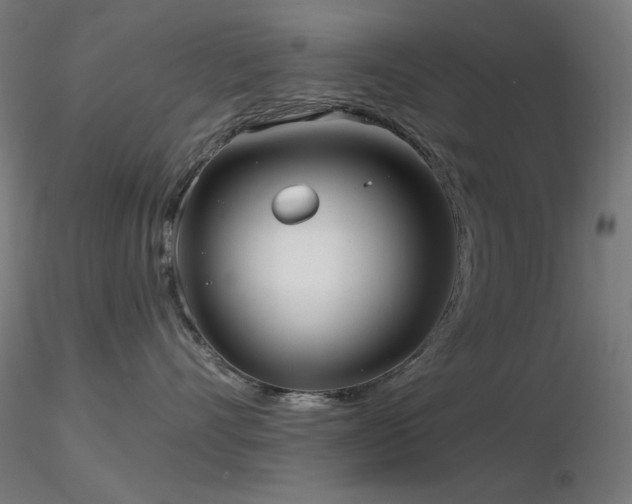 X0000116810528200912181347