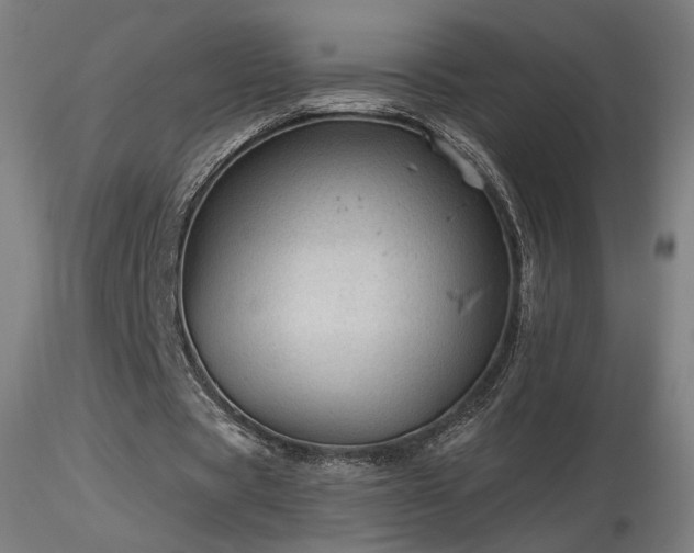 X0000116810529200912181347