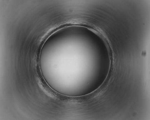 X0000116810530200912181347