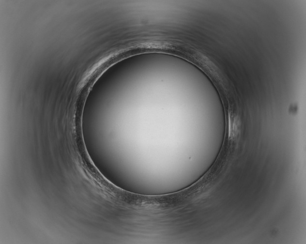 X0000116810531200912181347