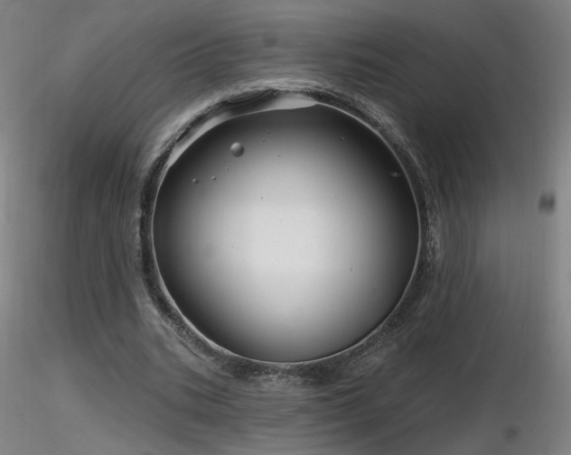X0000116810535200912181347