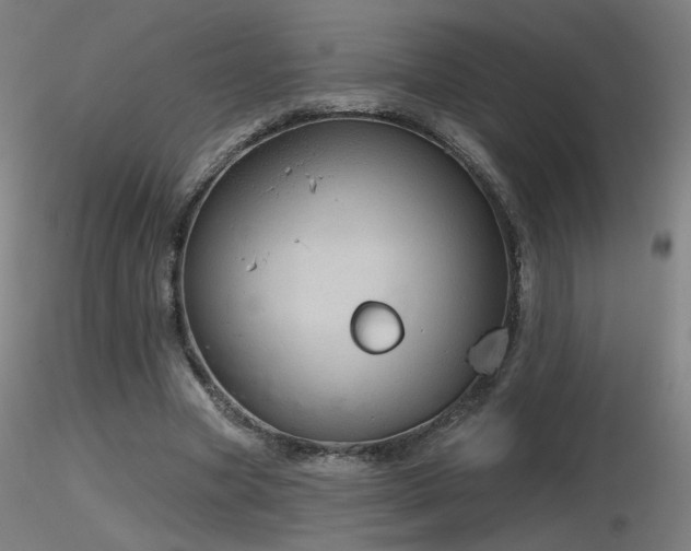 X0000116810537200912181347