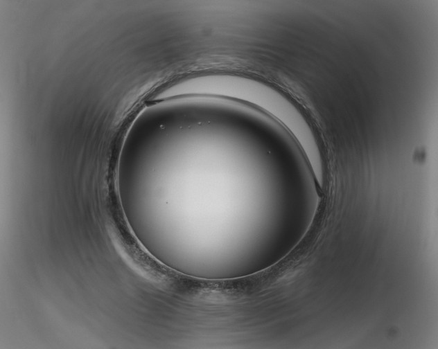 X0000116810538200912181347