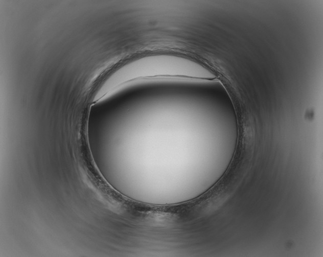 X0000116810539200912181347