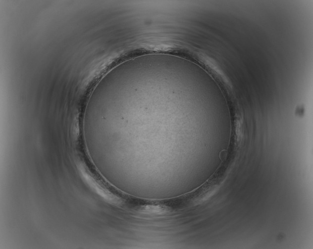 X0000116810541200912181347
