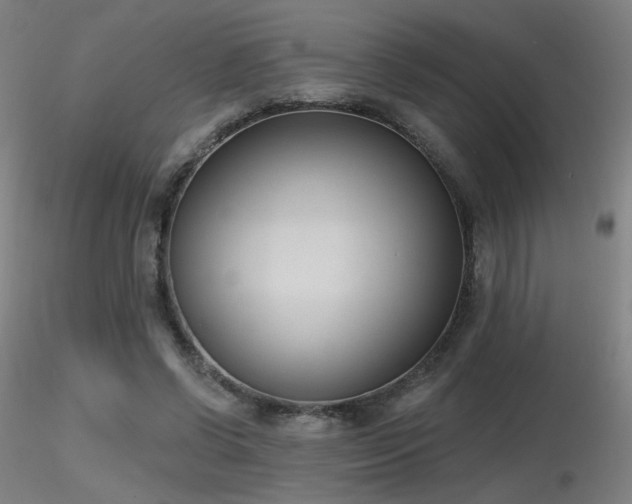 X0000116810542200912181347