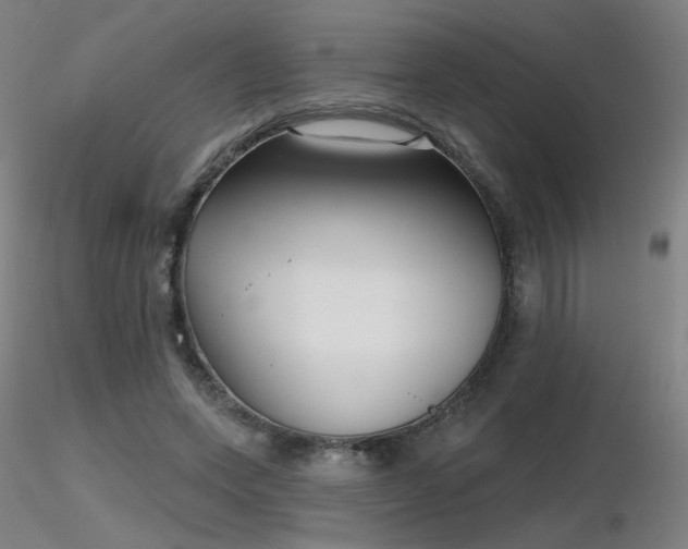 X0000116810543200912181347
