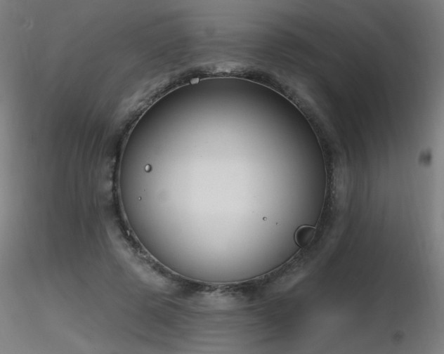 X0000116810545200912181347